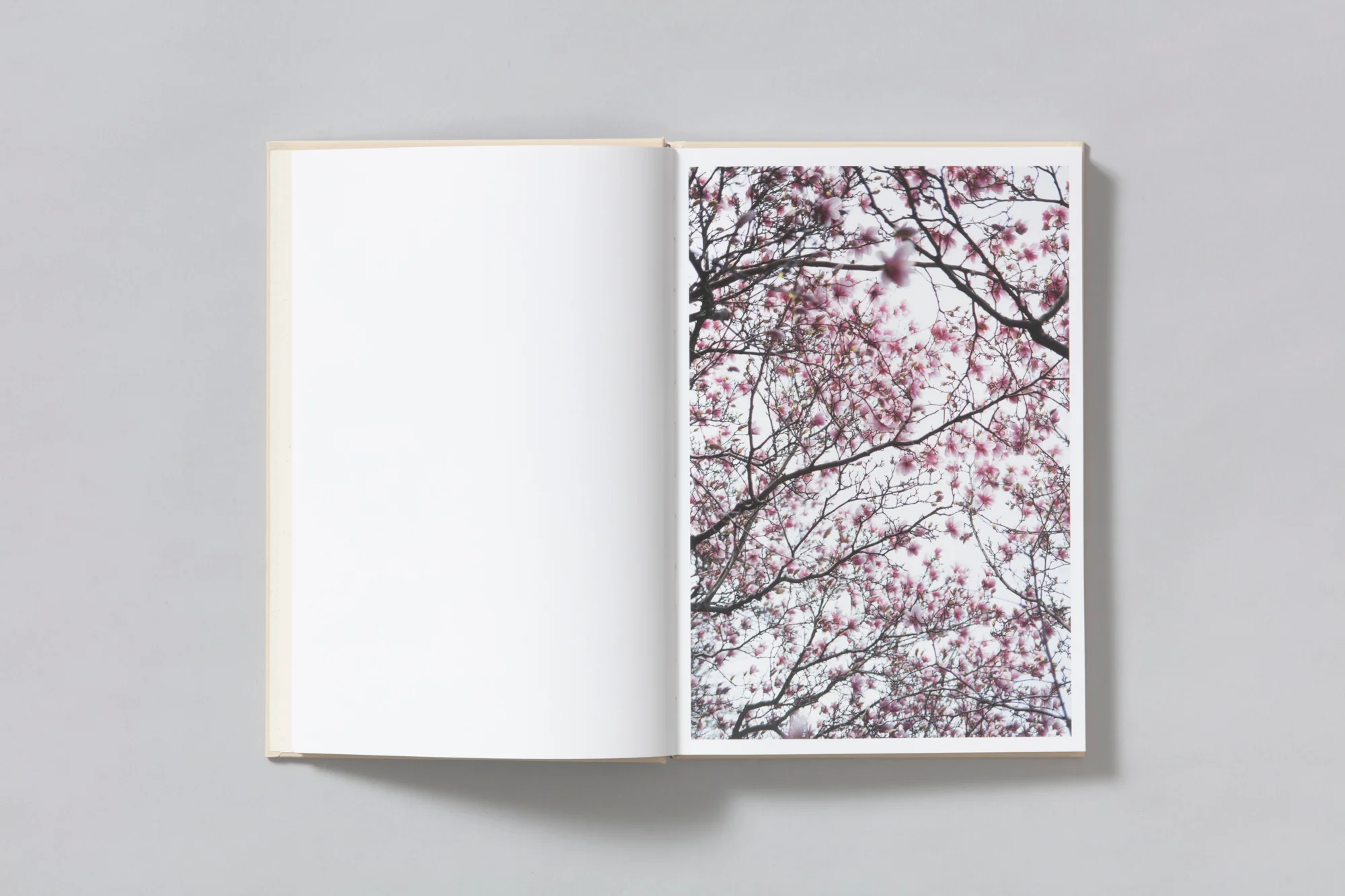 A Season Particular - Shen Wei - Image 3