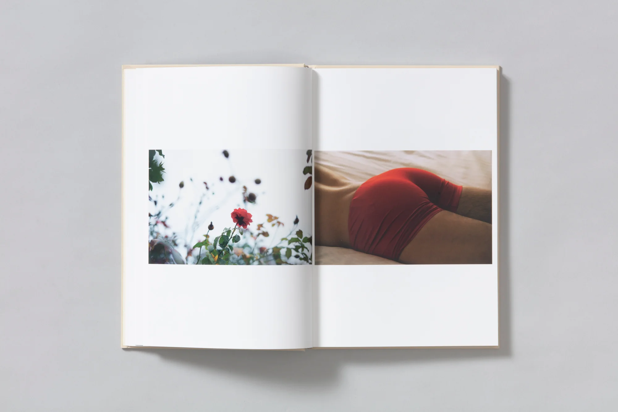 A Season Particular - Shen Wei - Image 7