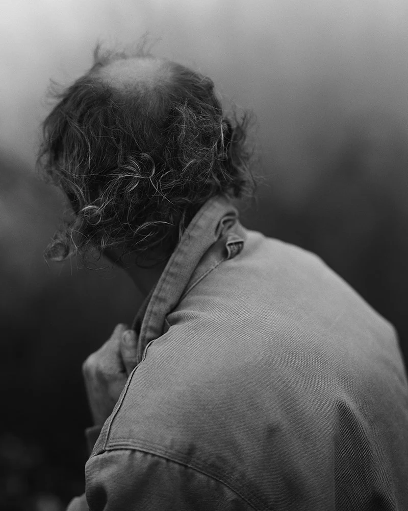 Jasper - Matthew Genitempo - Image 6