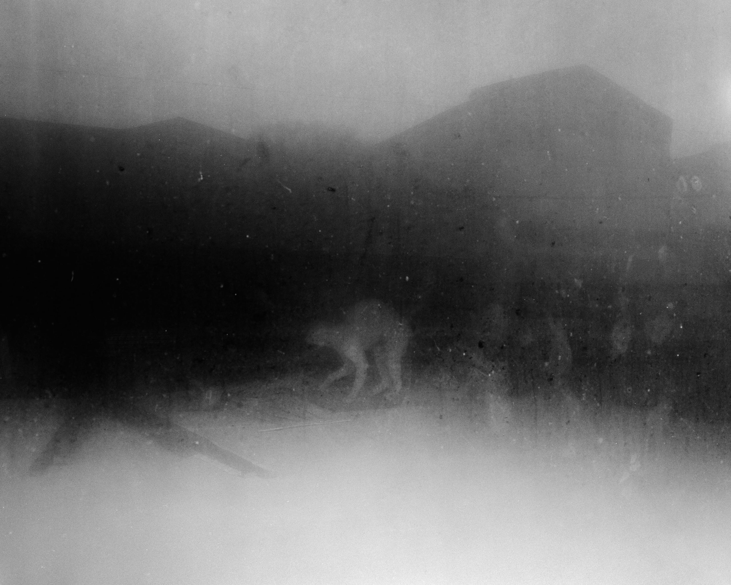 Jasper - Matthew Genitempo - Image 4