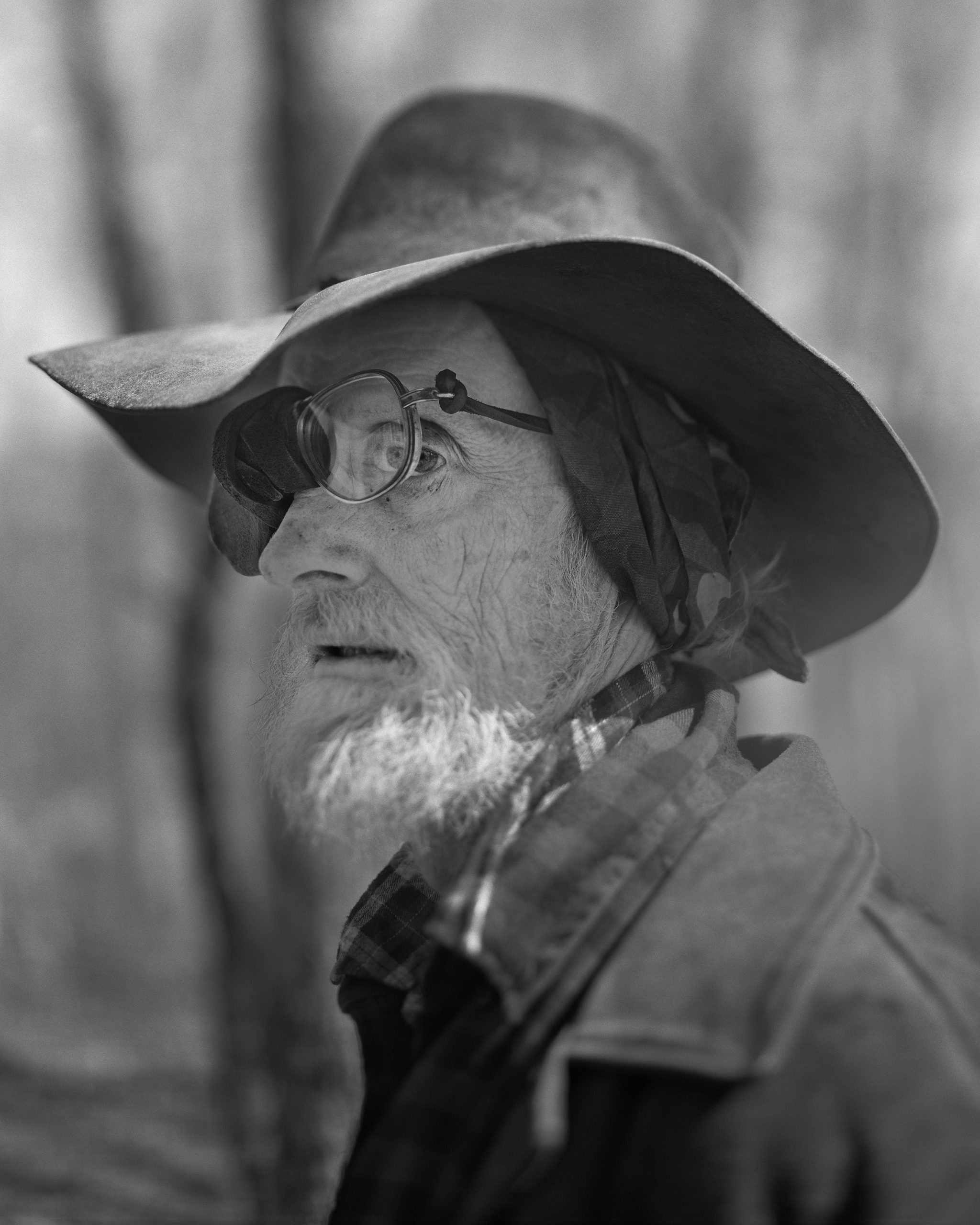 Jasper - Matthew Genitempo - Image 5