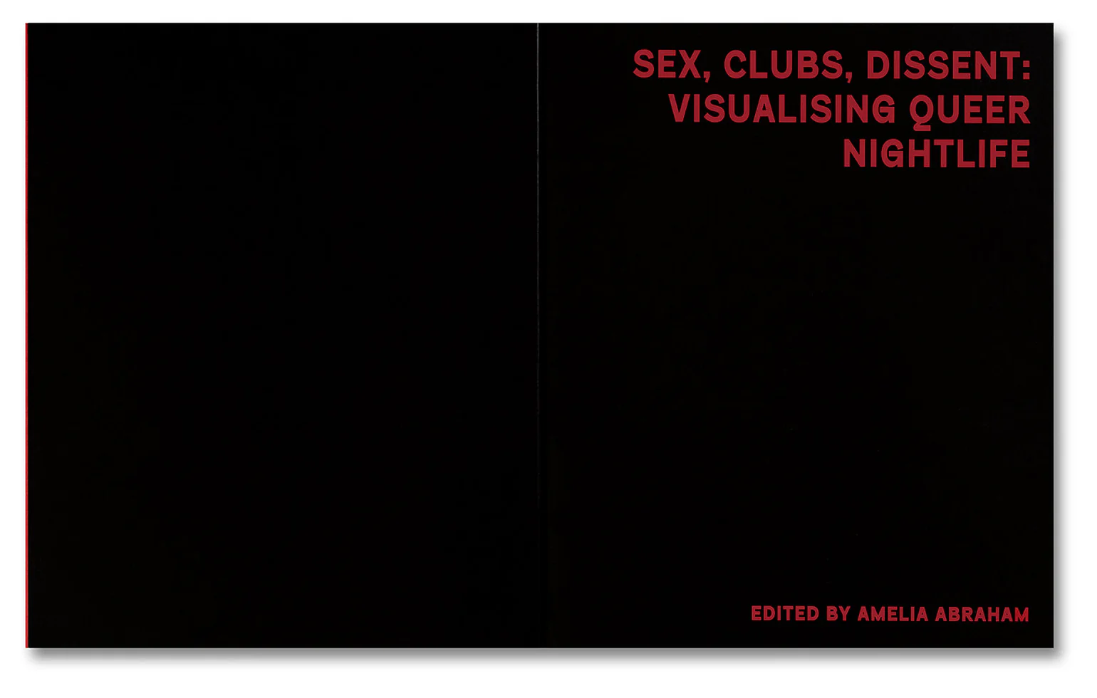 Sex, Clubs, Dissent. Visualising Queer Nightlife - Amelia Abraham - Image 3