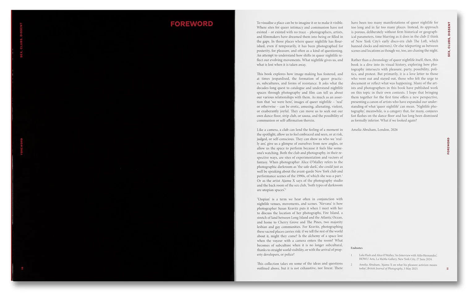 Sex, Clubs, Dissent. Visualising Queer Nightlife - Amelia Abraham - Image 5