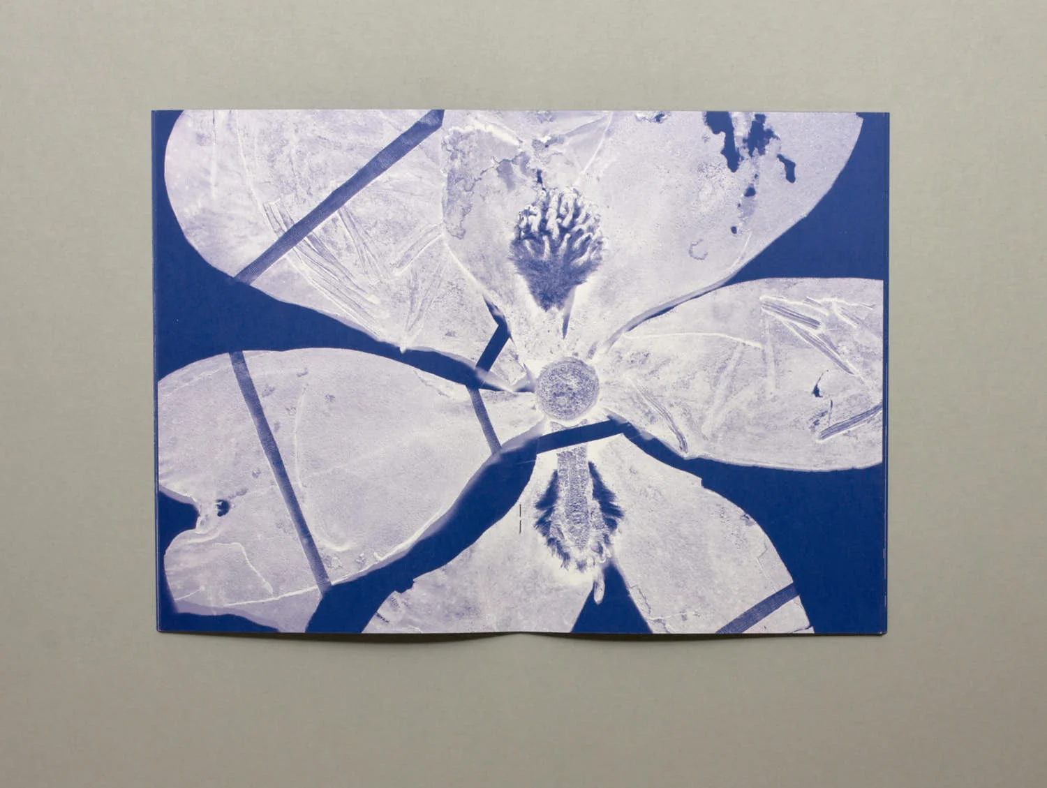 The Dry Garden - Magali Duzant - Image 2