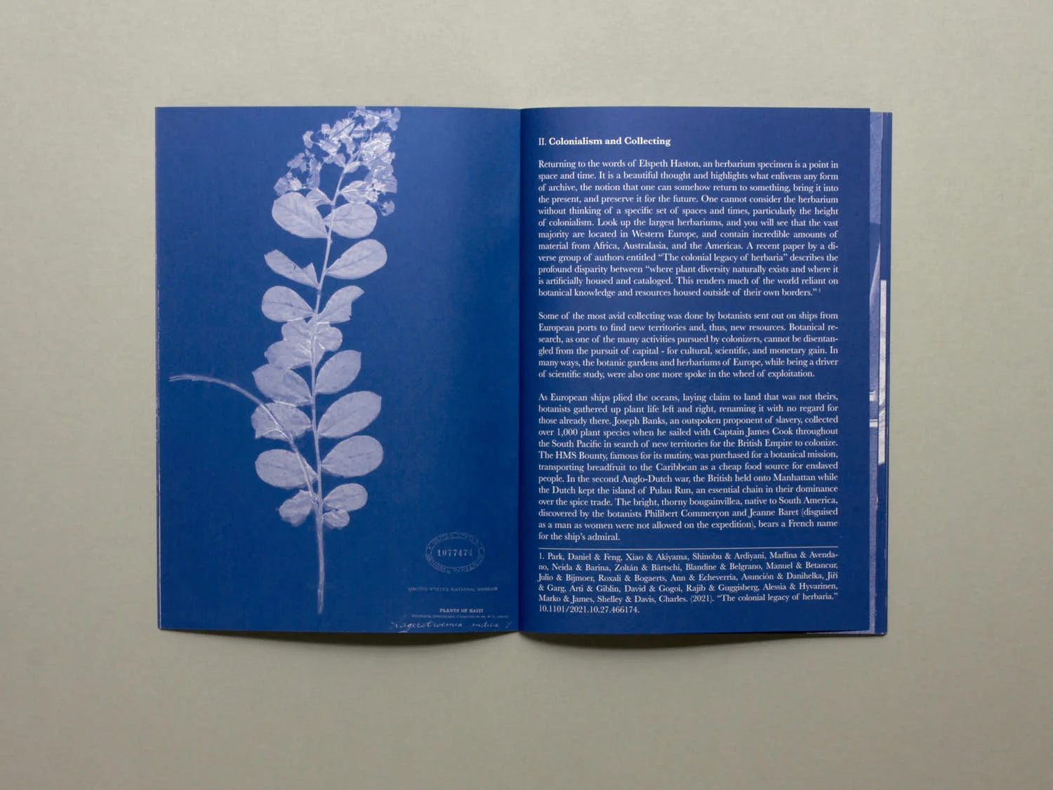 The Dry Garden - Magali Duzant - Image 3