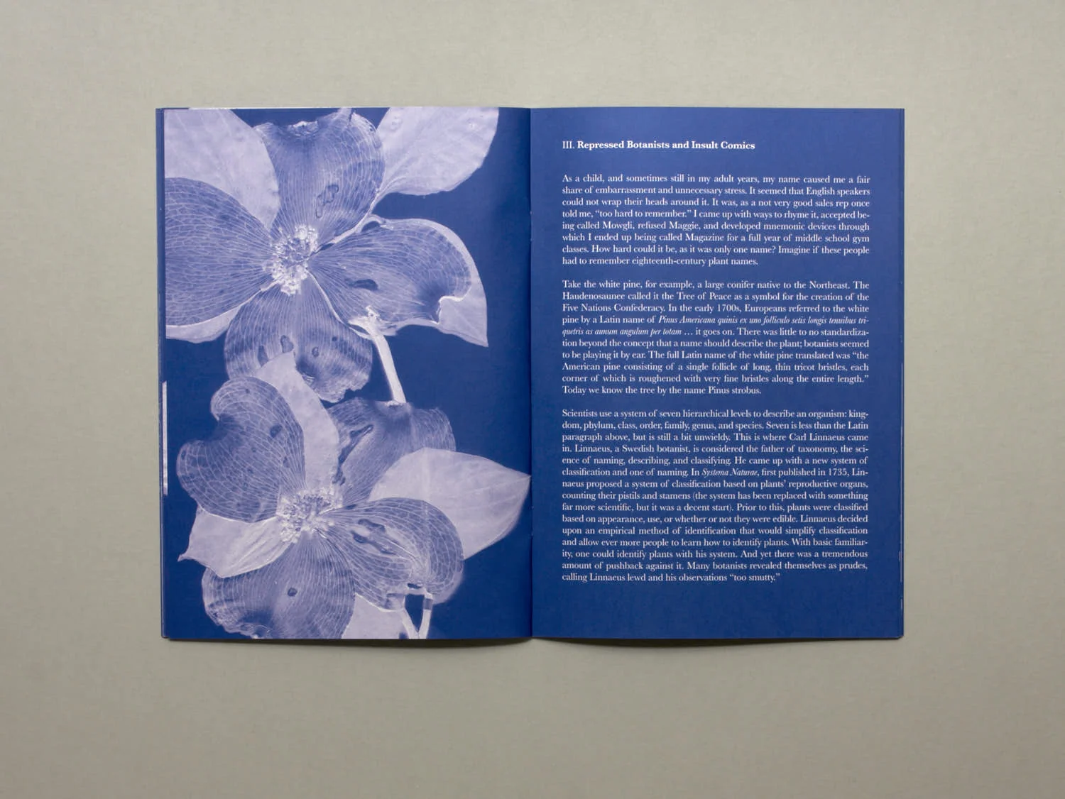 The Dry Garden - Magali Duzant - Image 4