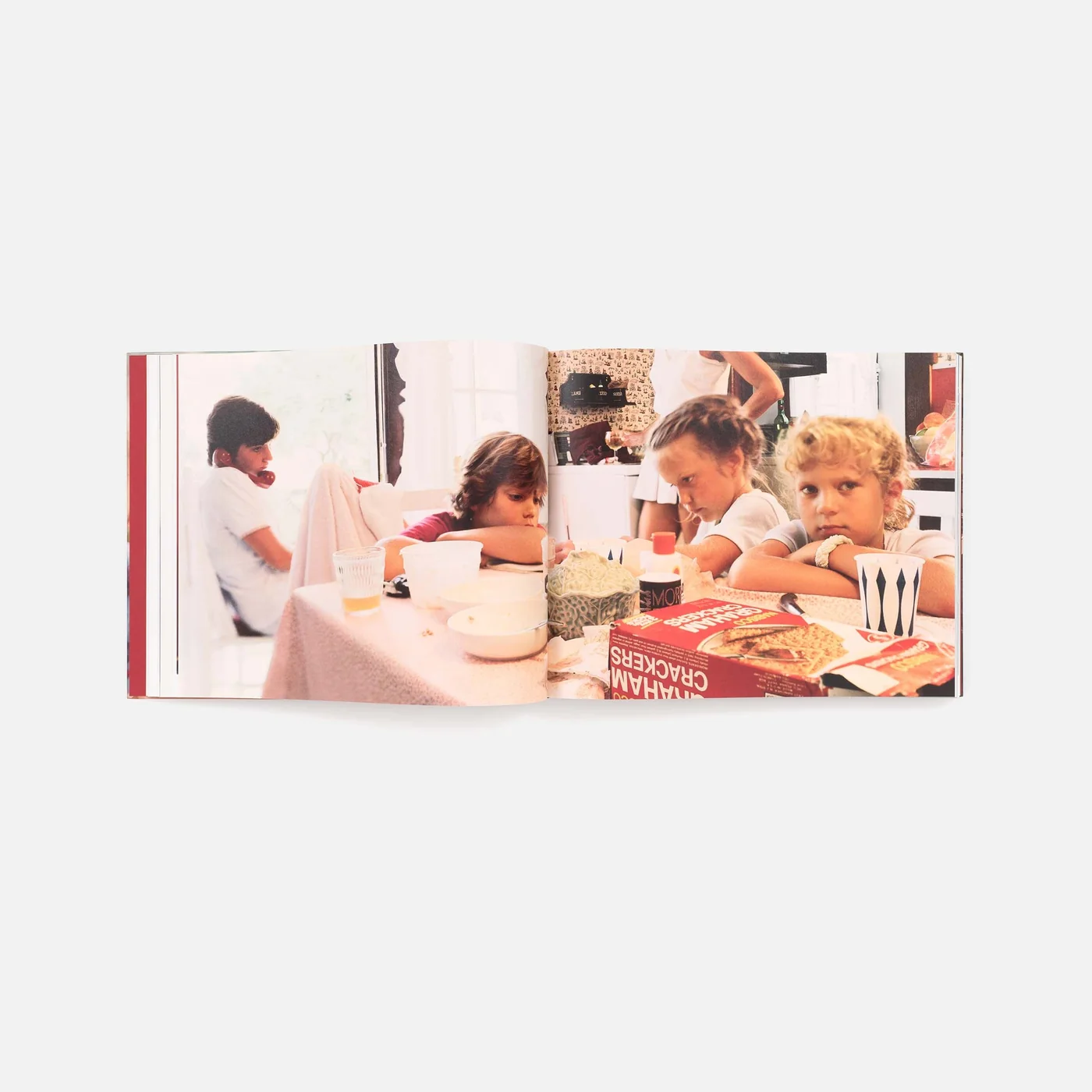 Family Ties - Tina Barney - Image 3