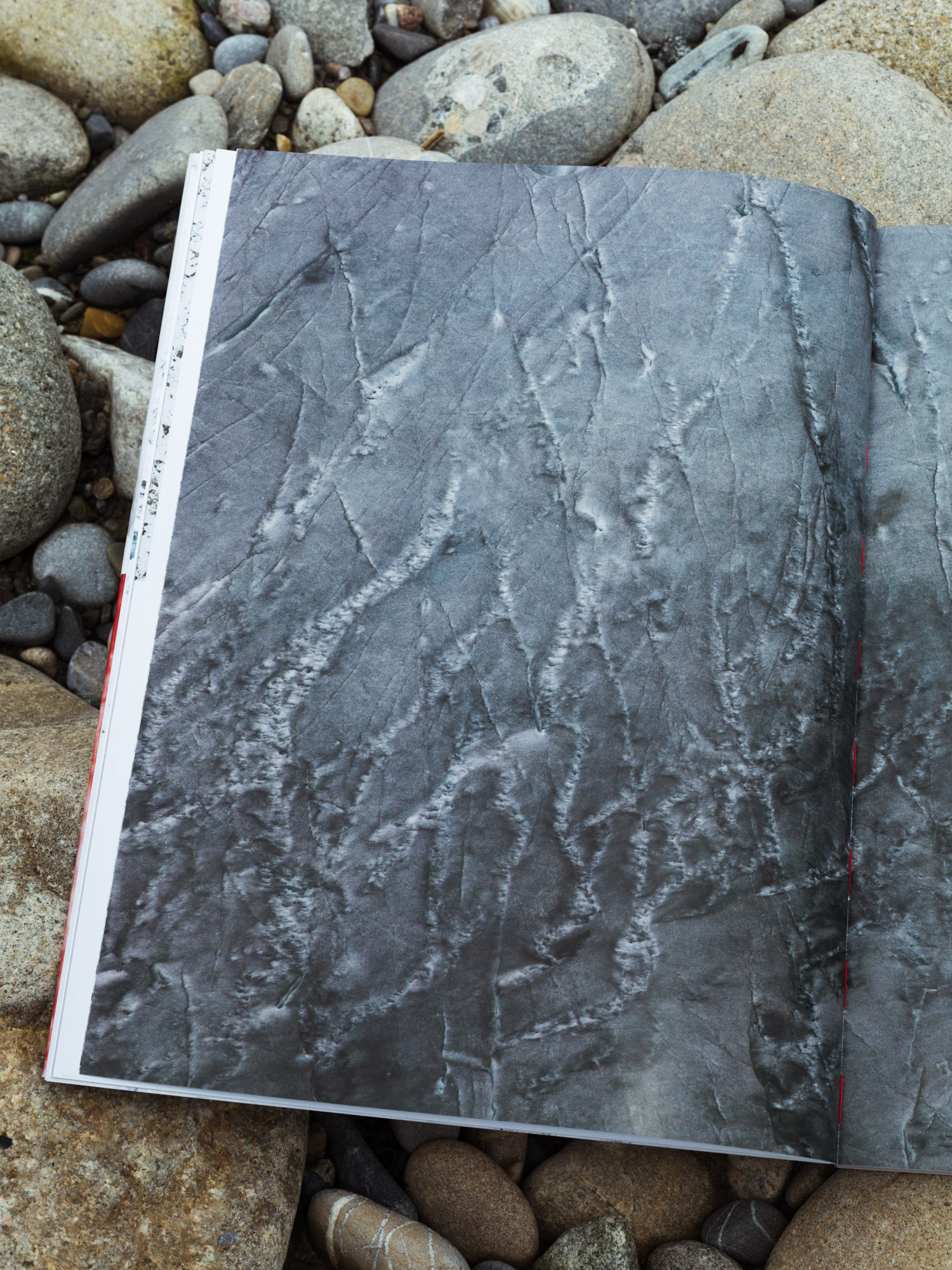 The Glacier Is a Being - Julian Stettler - Image 3