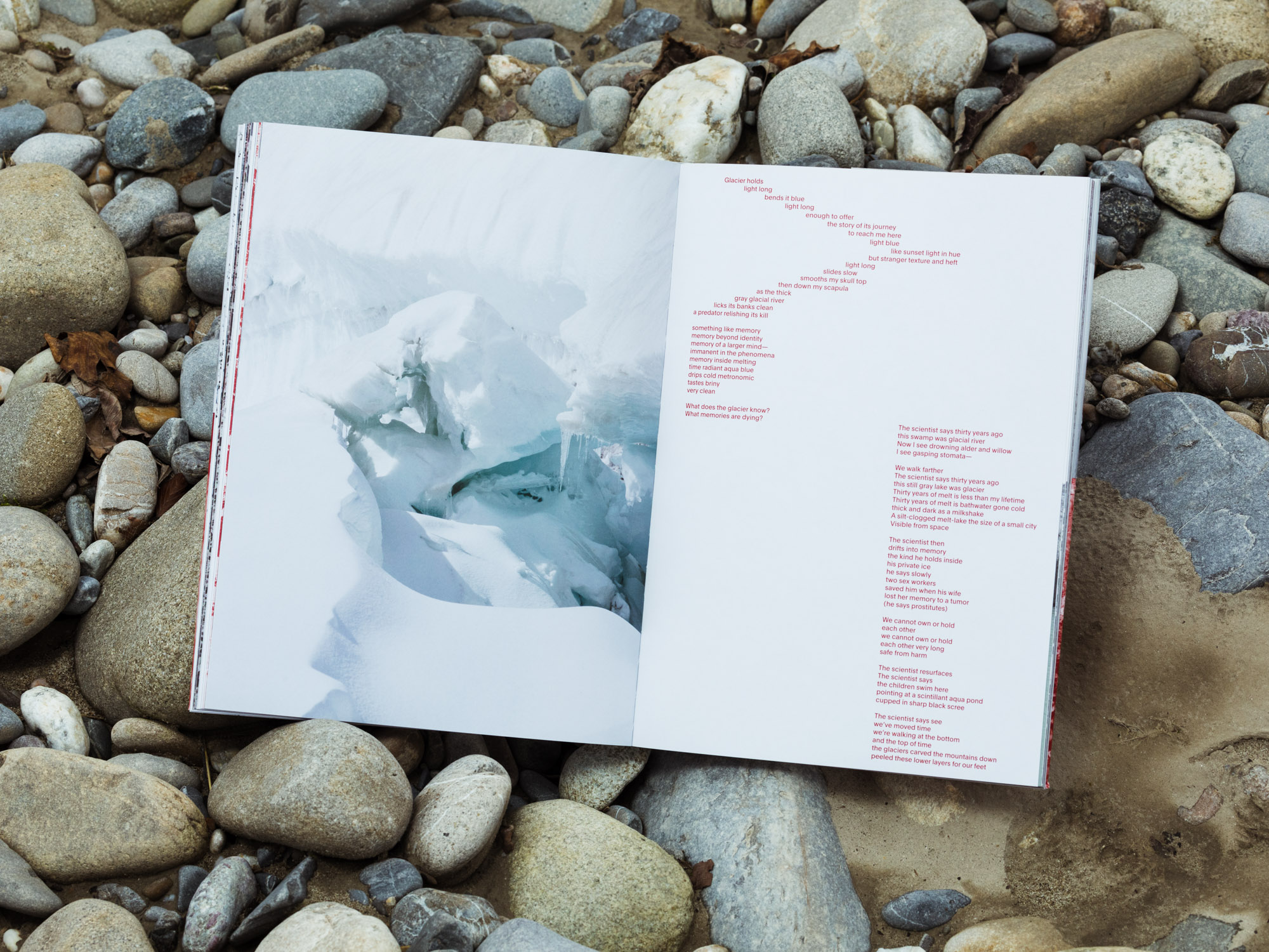 The Glacier Is a Being - Julian Stettler - Image 6