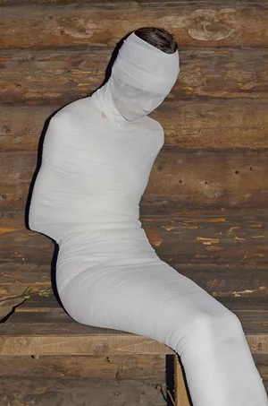 Gut Feeling - Kristina Rozhkova - Image 11