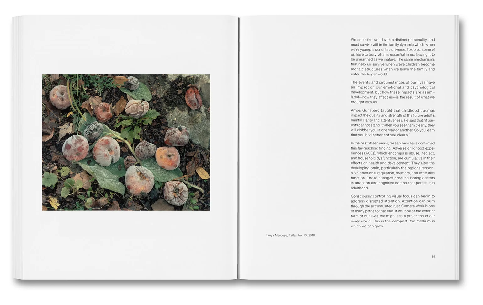 The Mental Image - Stephen Shore (signed) - Image 20