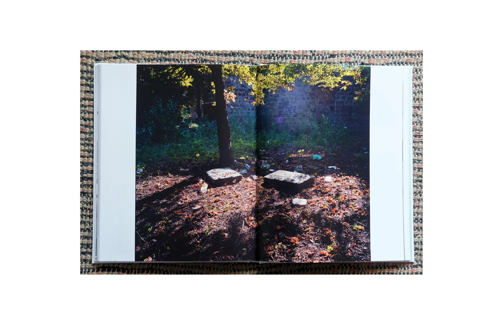 Mar Negro - Nuno Barroso - Image 4