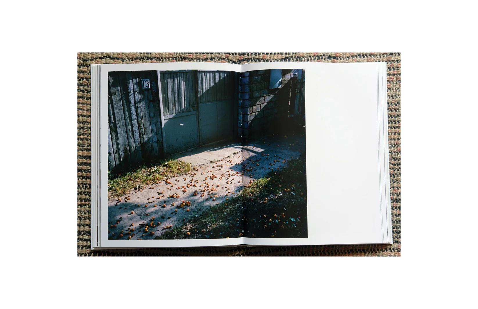 Mar Negro - Nuno Barroso - Image 13