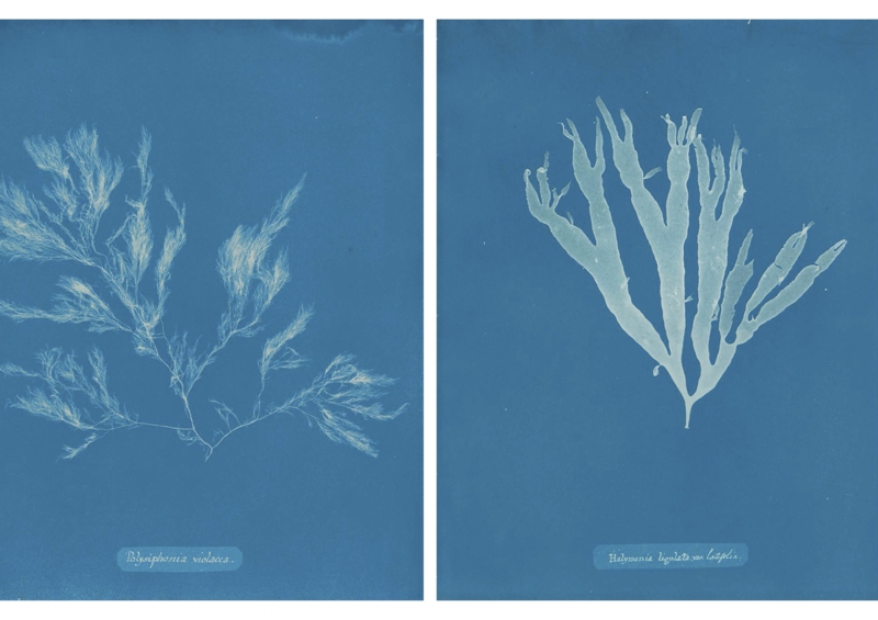 First Times / First Photos - Luce Lebart - Image 5