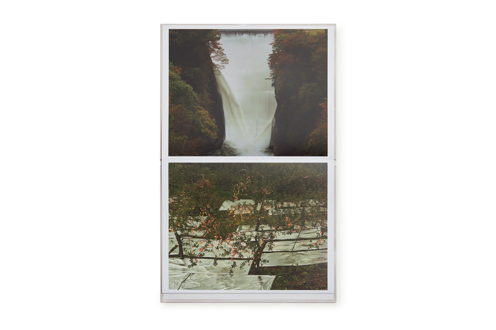 Painting - Toshio Shibata - Image 2