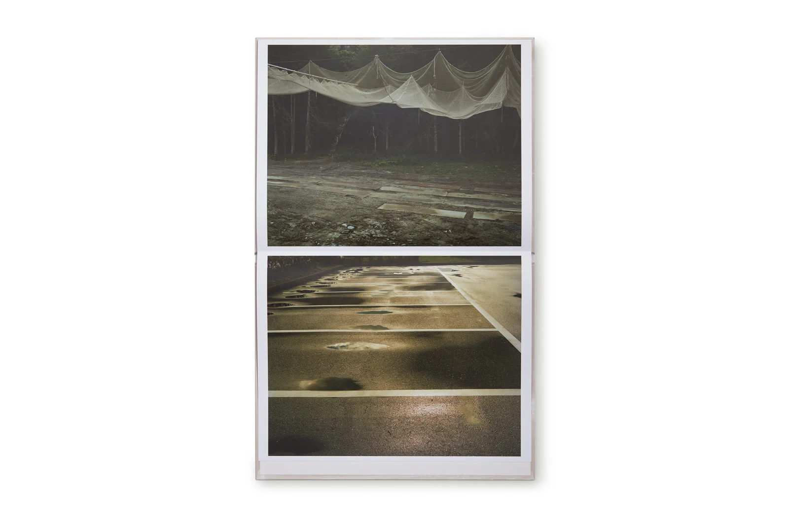 Painting - Toshio Shibata - Image 5
