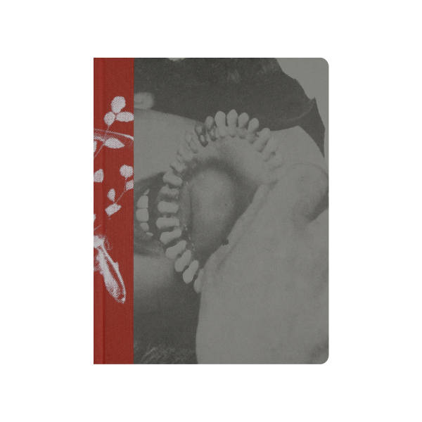 We Have Learned to Distrust Images - Francesco Gioia