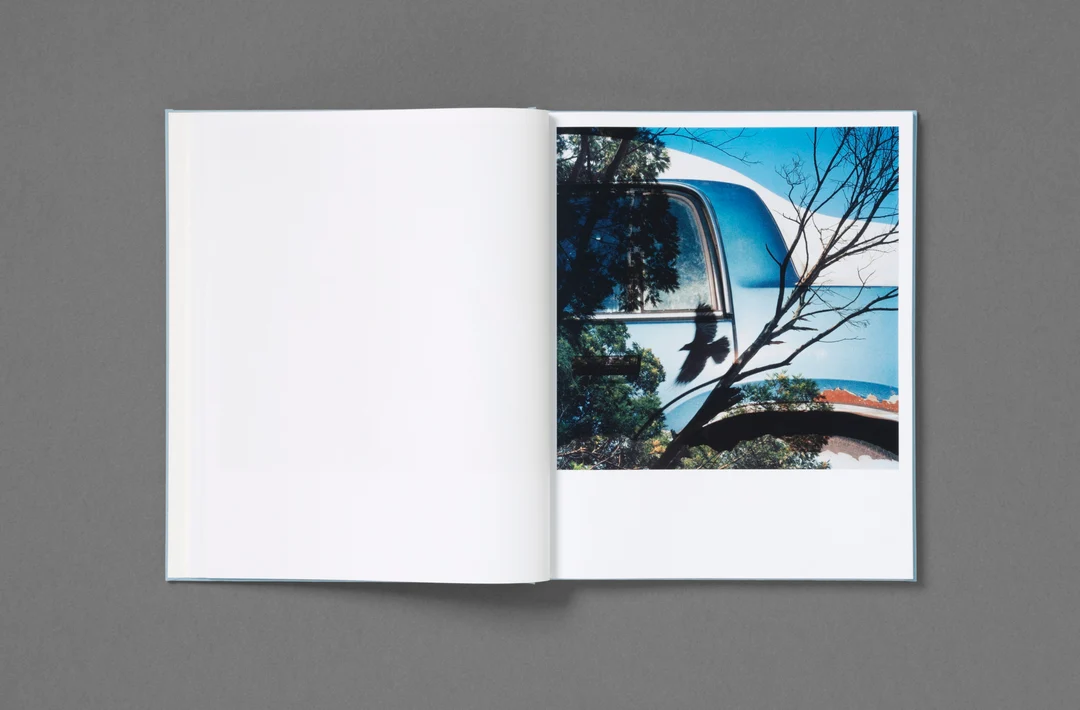 Frozen Features - Jason Fulford - Image 10