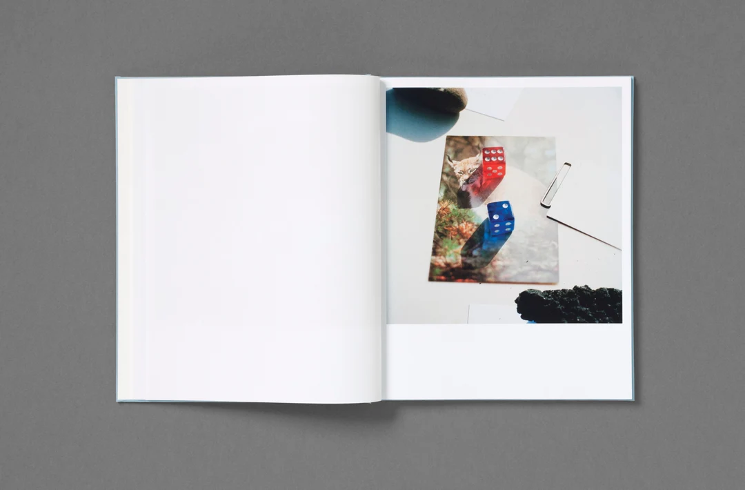 Frozen Features - Jason Fulford - Image 12