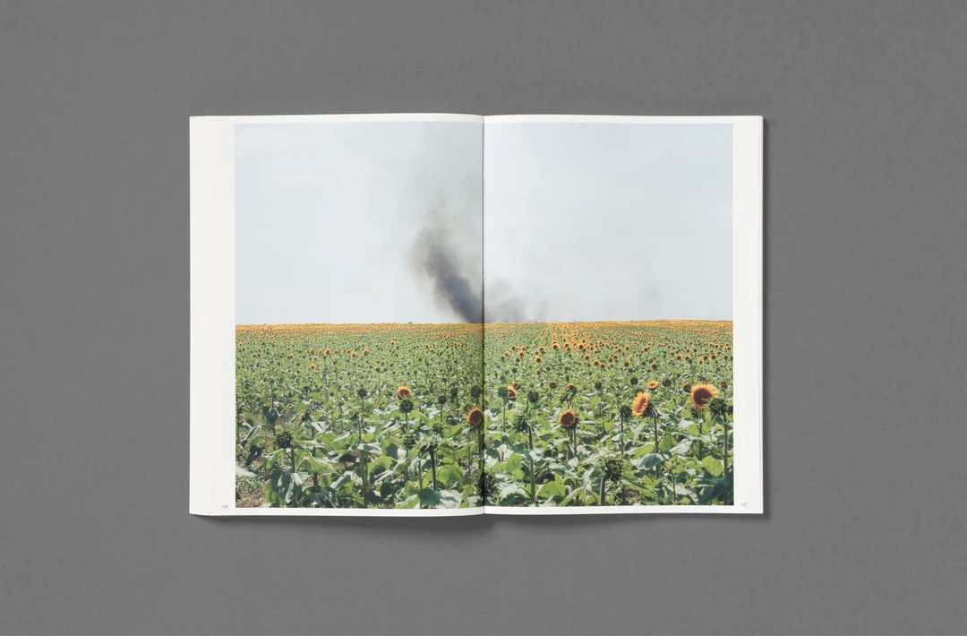Silent Springs - Michele Borzoni & Rocco Rorandelli - Image 27