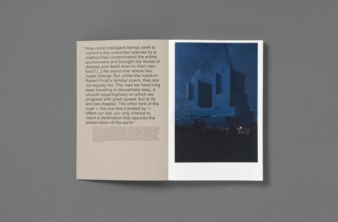 Silent Springs - Michele Borzoni & Rocco Rorandelli - Image 2
