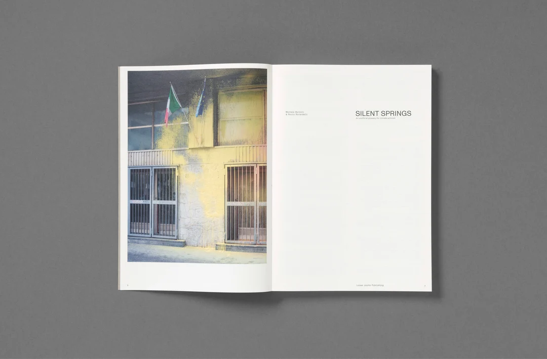 Silent Springs - Michele Borzoni & Rocco Rorandelli - Image 4