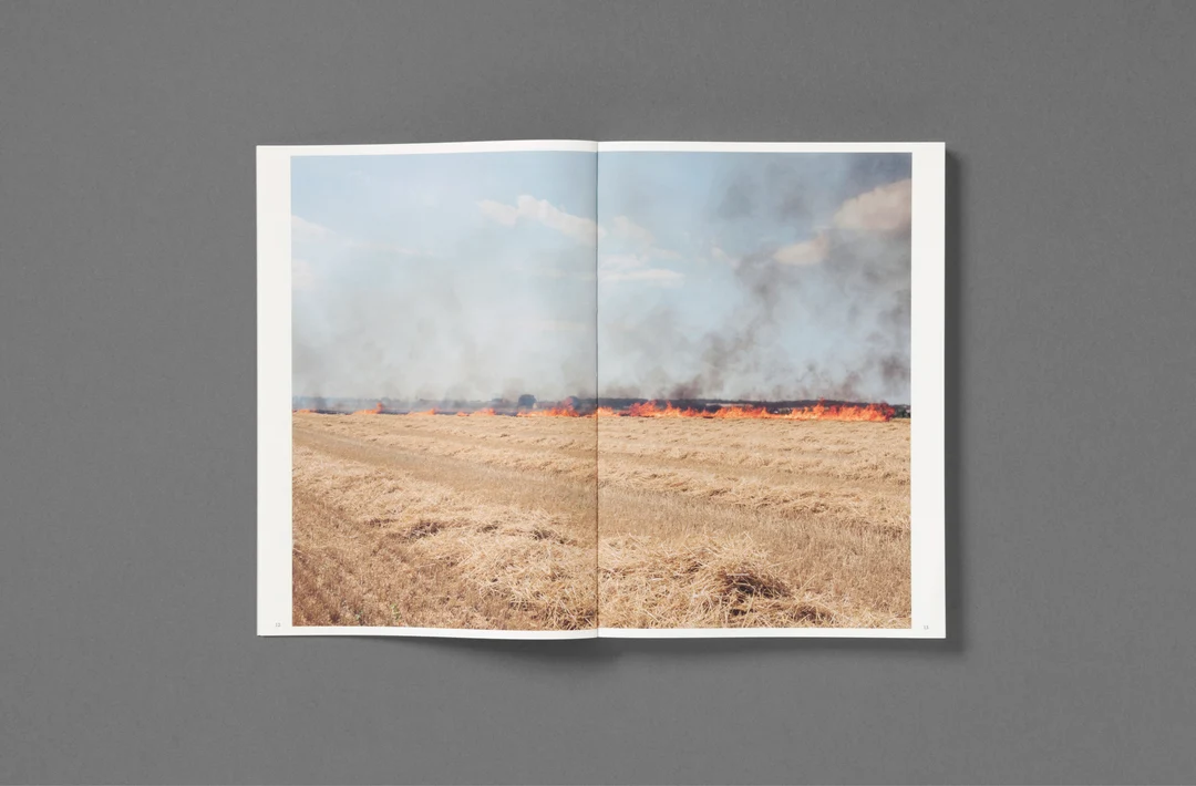 Silent Springs - Michele Borzoni & Rocco Rorandelli - Image 6