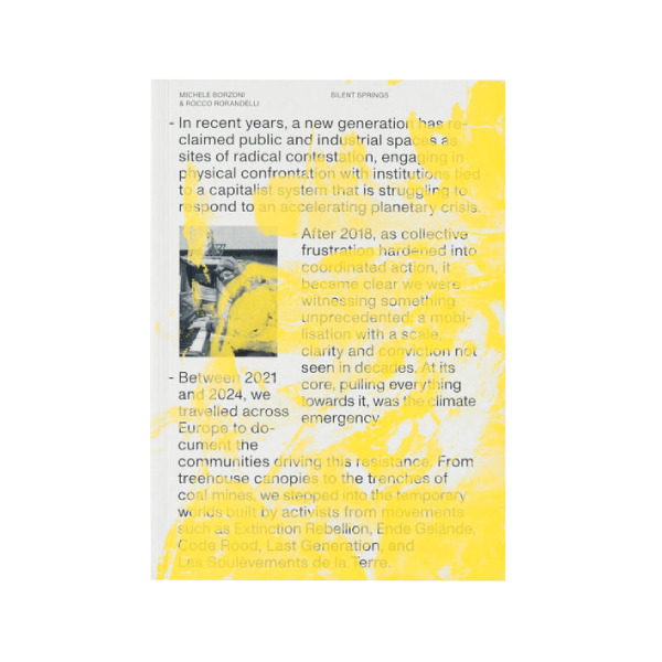 Silent Springs - Michele Borzoni & Rocco Rorandelli