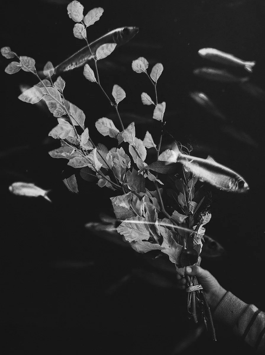 We Have Learned to Distrust Images - Francesco Gioia - Image 7