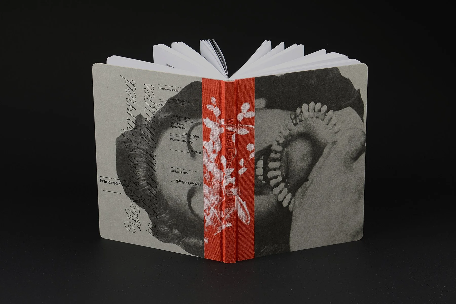 We Have Learned to Distrust Images - Francesco Gioia - Image 13