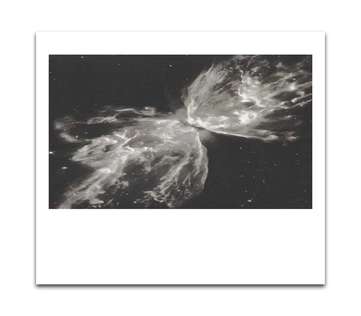 Ancient Light - Dr Melanie King - Image 2