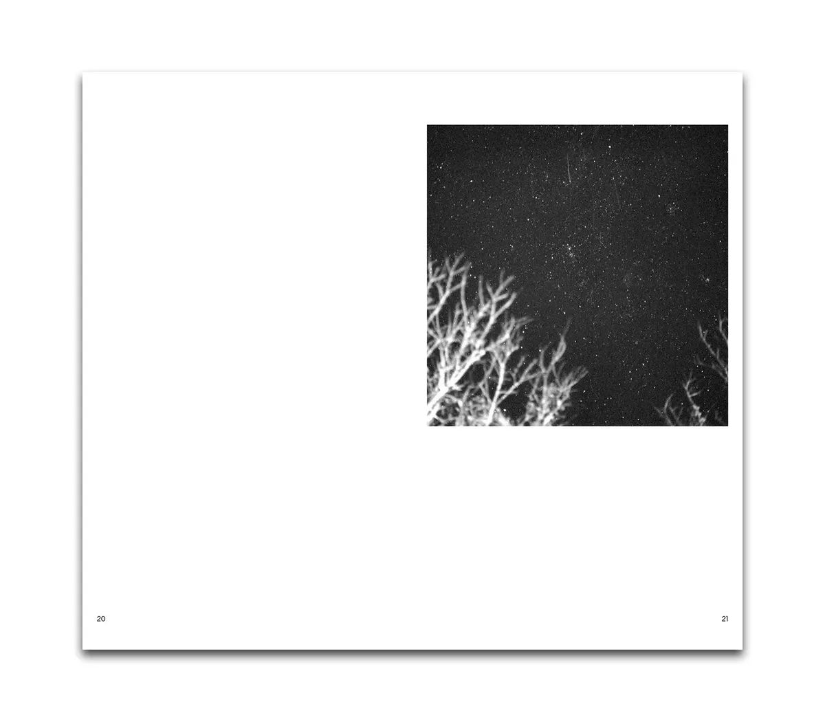 Ancient Light - Dr Melanie King - Image 7