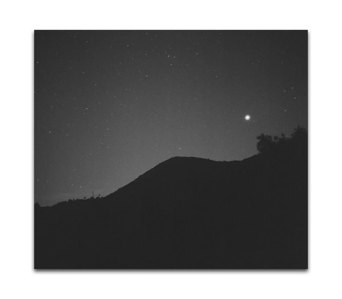 Ancient Light - Dr Melanie King - Image 11