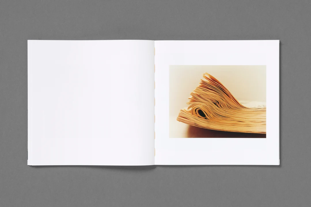 Earthquake Weather - Colin Dodgson - Image 15