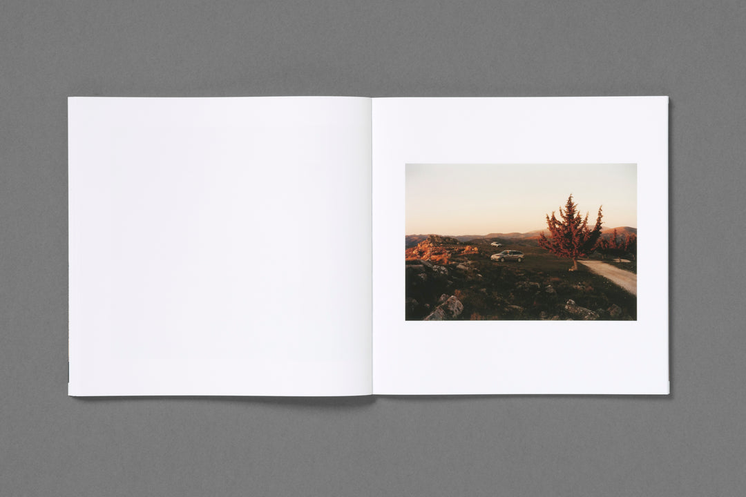 Earthquake Weather - Colin Dodgson - Image 17